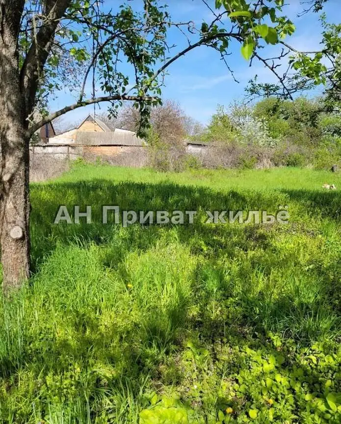 Великолепный земельный участок, Супруновка