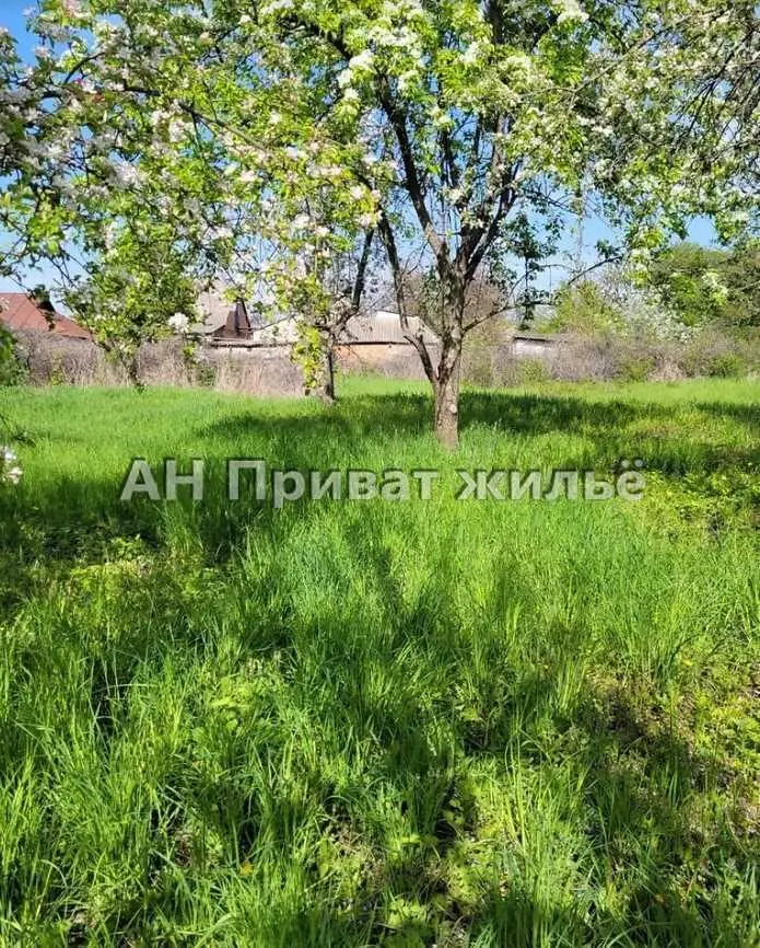 Великолепный земельный участок, Супруновка