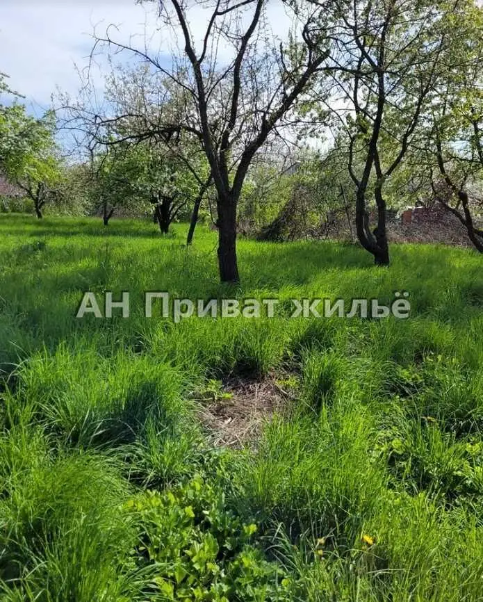 Великолепный земельный участок, Супруновка