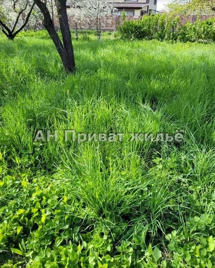 Великолепный земельный участок, Супруновка