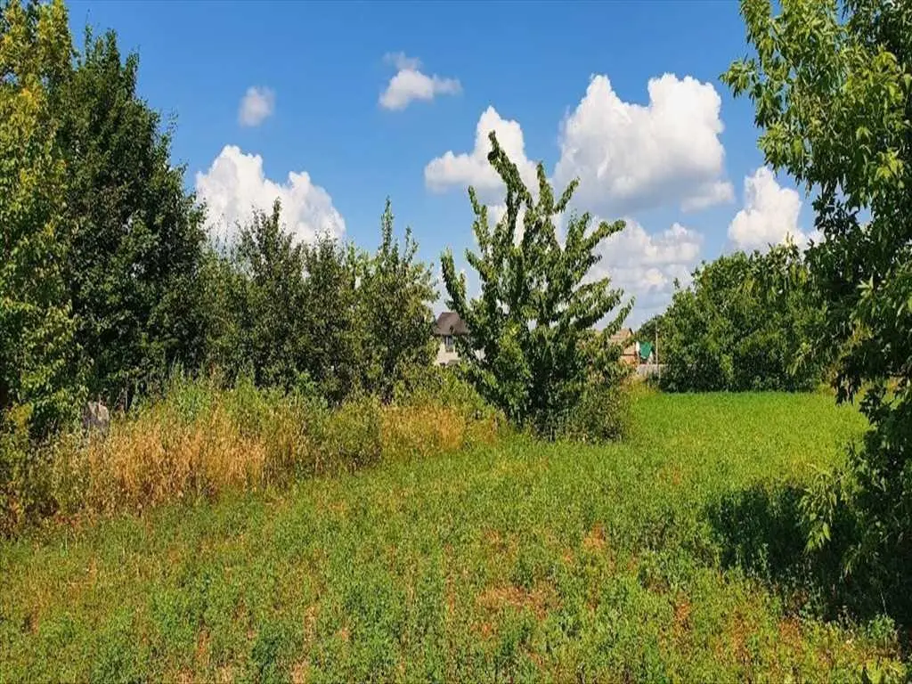 Настав час втілити свої мрії у реальність