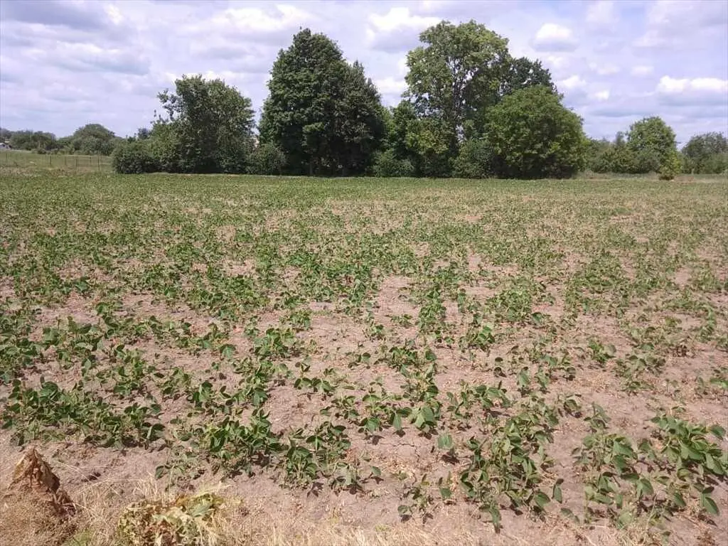 Відмінна ділянка під забудову будинку