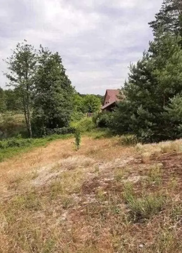 Ділянка в сосновому лісі біля водойоми!