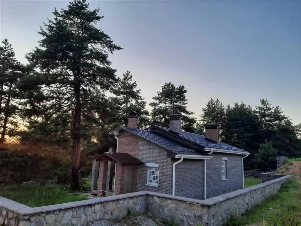 Дім у сосновому лісі