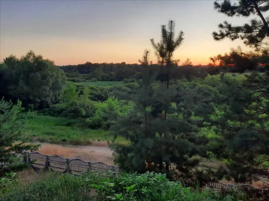 Дім у сосновому лісі