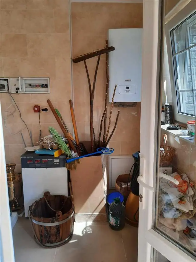 Дім у сосновому лісі