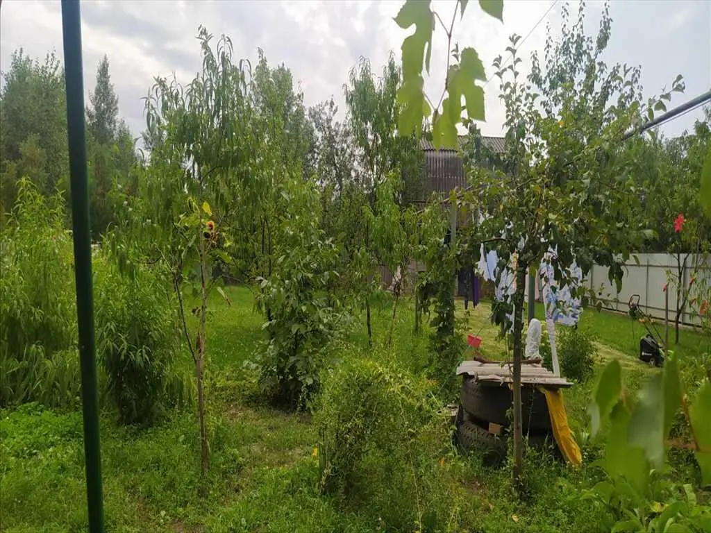 Добротный дом в Леске