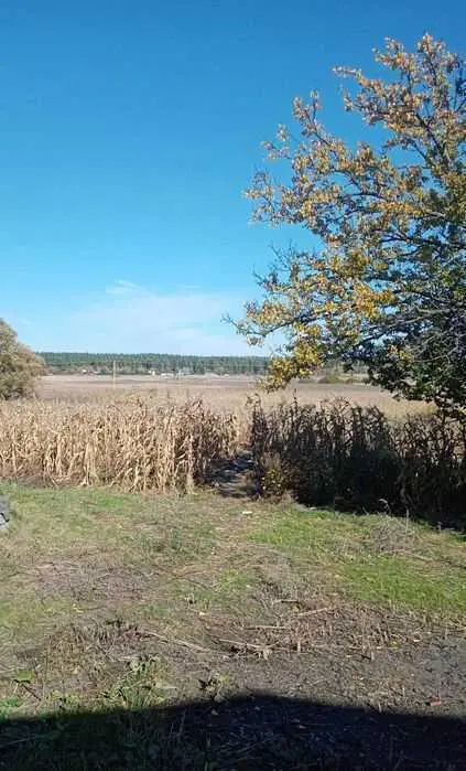 Хороший участок для ведения сельського хозяйства в Полтавском районе 