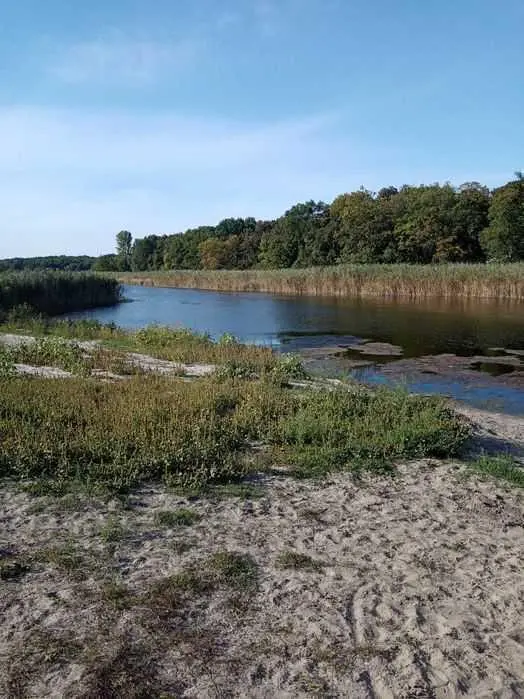 Хороший участок для ведения сельського хозяйства в Полтавском районе 