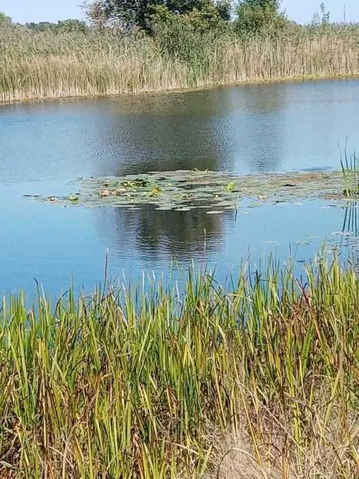 Хороший участок для ведения сельського хозяйства в Полтавском районе 