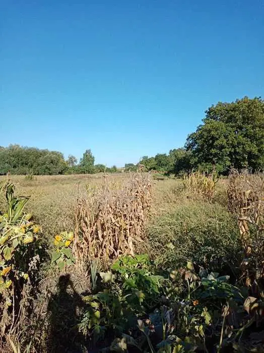 Хороший участок для ведения сельського хозяйства в Полтавском районе 