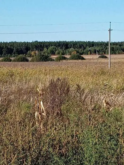 Хороший участок для ведения сельського хозяйства в Полтавском районе 