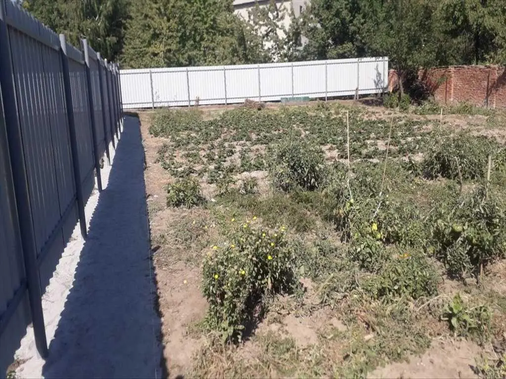 Половки. Ділянка по червоній лінії. 