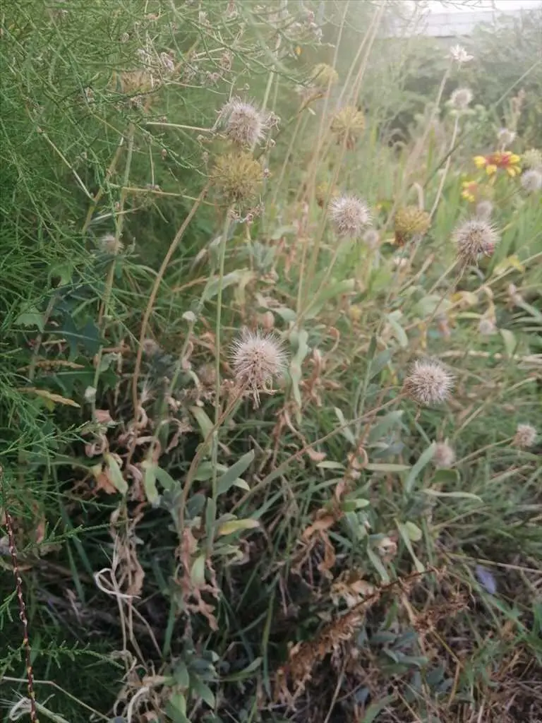 Найдешевша ділянка в районі міста, що розвивається!