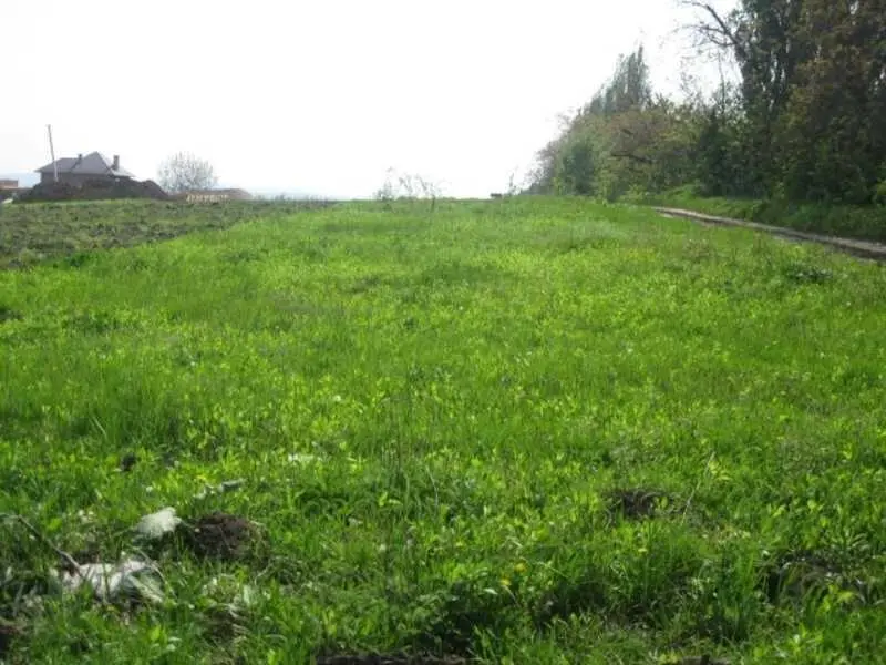 У продажу ділянка 1,24  га