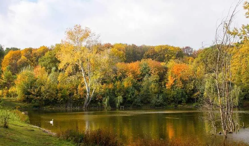 Земельна ділянка в Дендропарку!