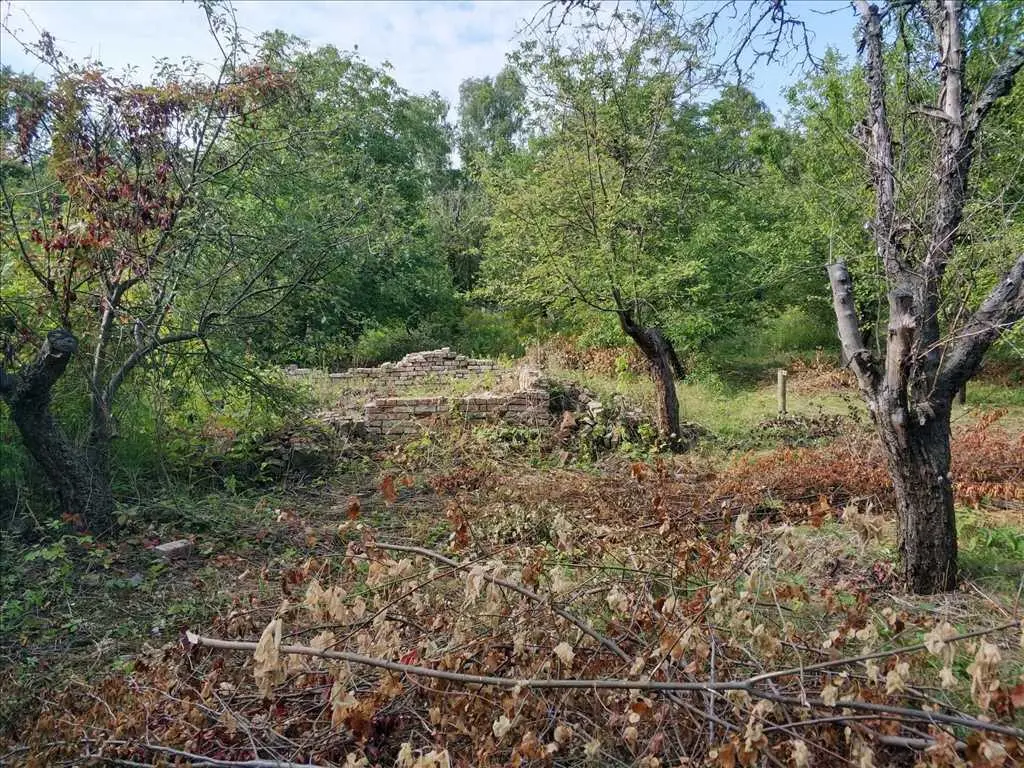 Земельна ділянка в Дендропарку!