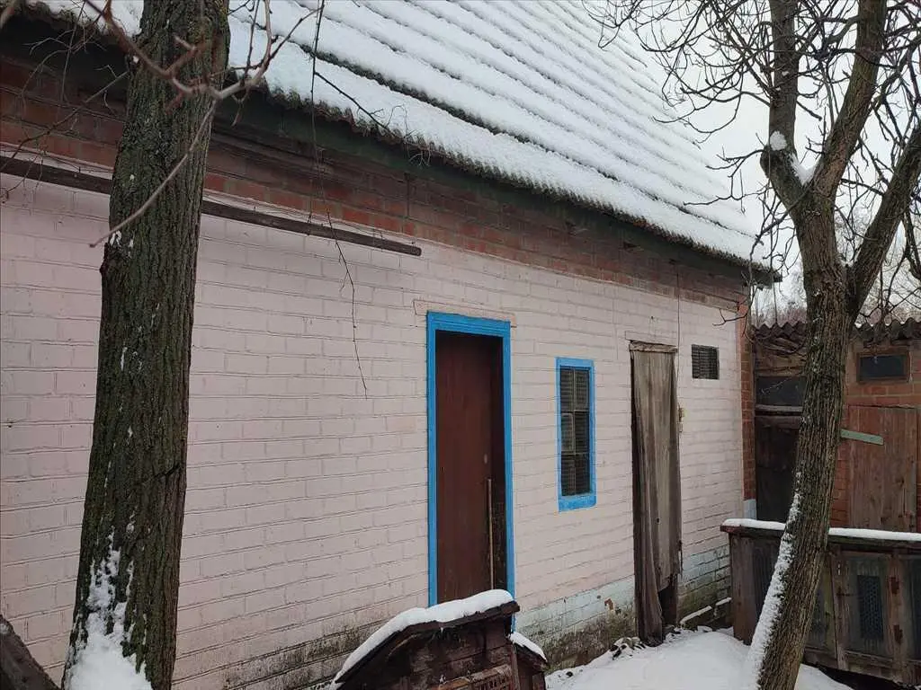 Гарний будинок у передмісті Полтави