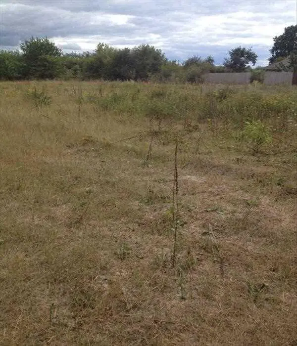 Ділянка в Жуках для будівництва!