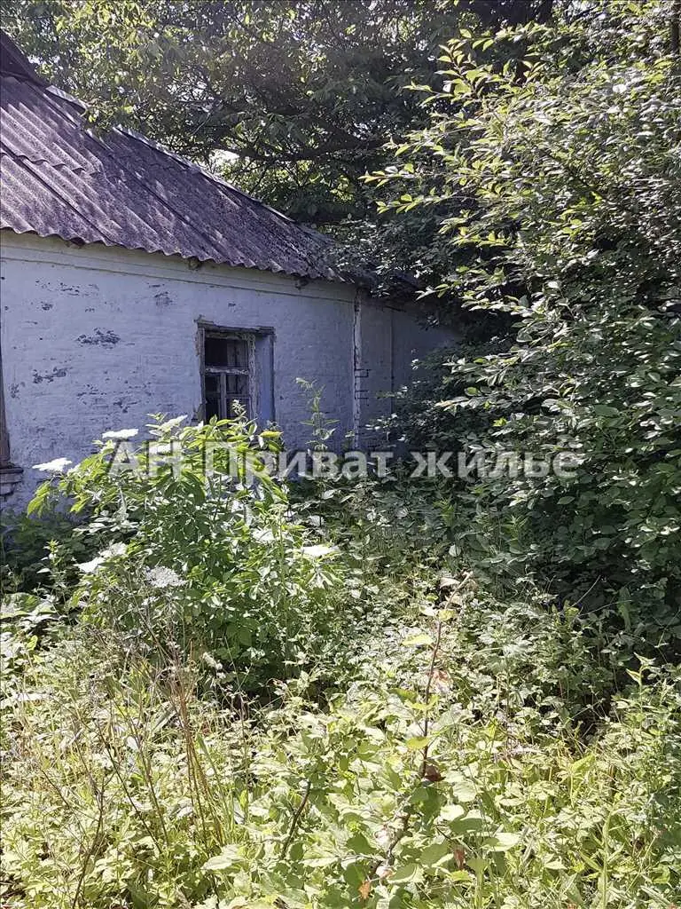 Окремий будинок в селі Бричківка