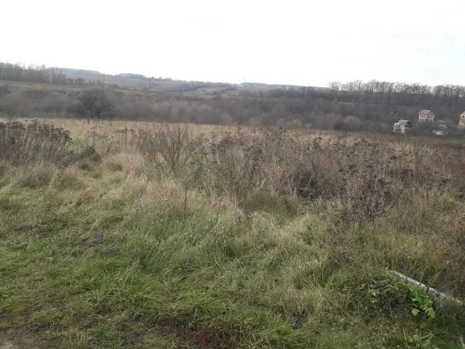 Терміново! Ділянка під забудову неподалік Полтави майже даром!