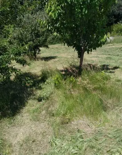 Гарна ділянка у с. Жуки