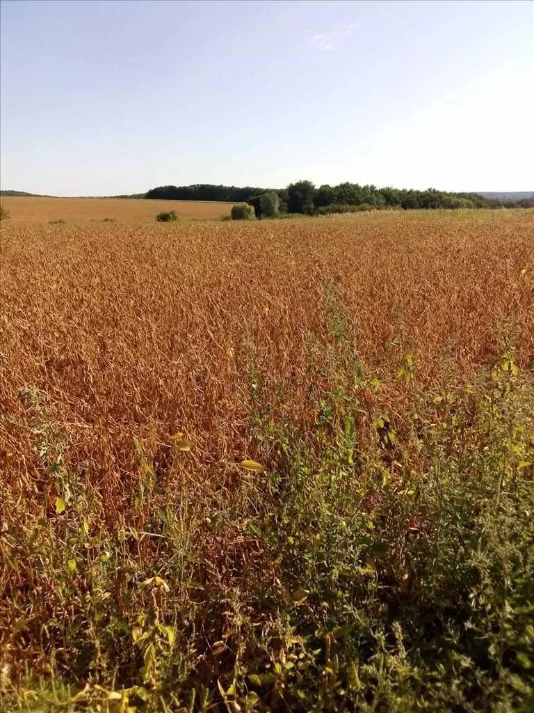Продаж земельної ділянки під забудову!