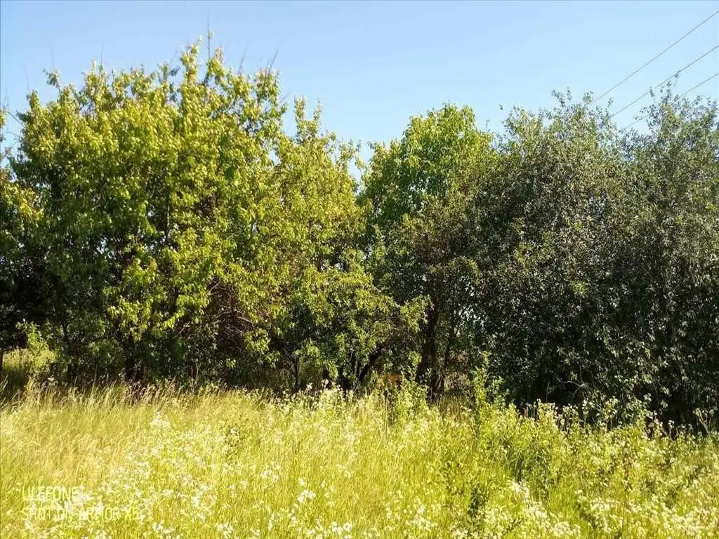 Земельна ділянка поруч з містом у с. Мачухи.