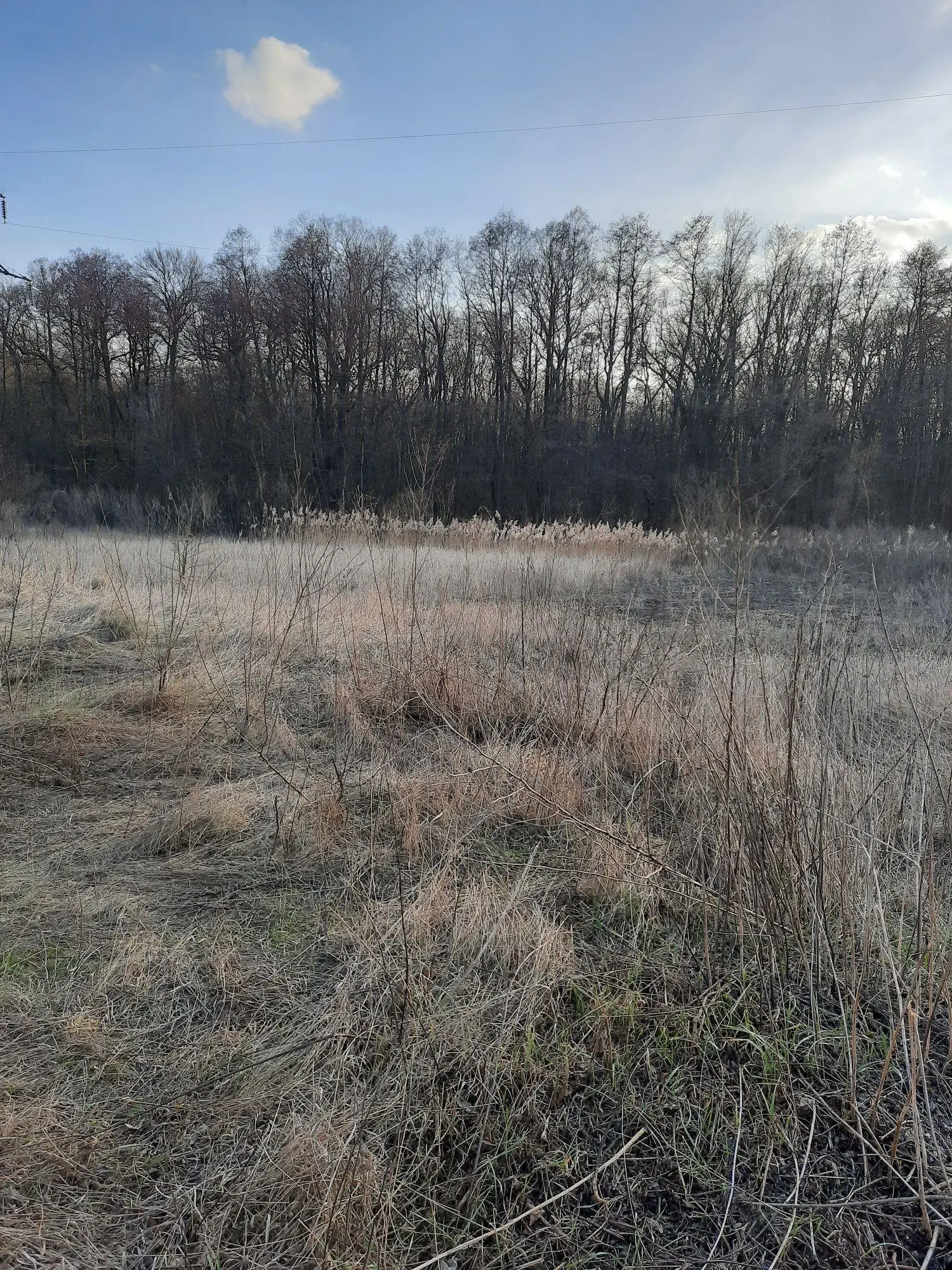 Окремий будинок поблизу міста  Полтава!