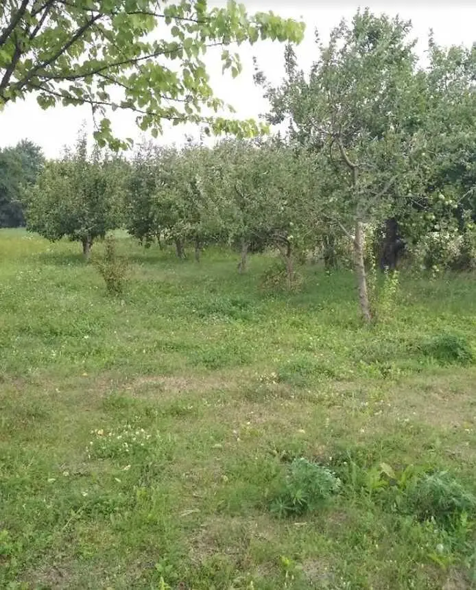 Ділянка під забудову в Івашках!