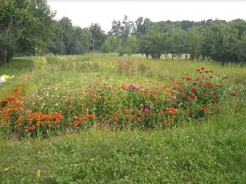 Ділянка під забудову в Івашках!