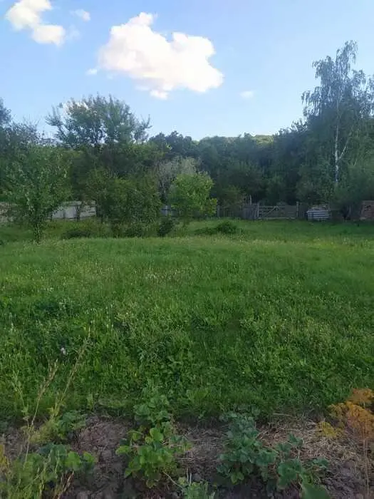 Чудова ділянка біля лісу в с  Буланово! 