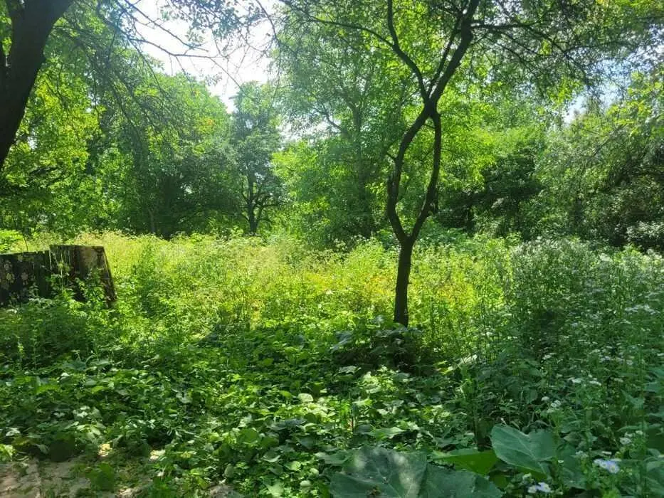 Чудова ділянка біля лісу в с  Буланово! 