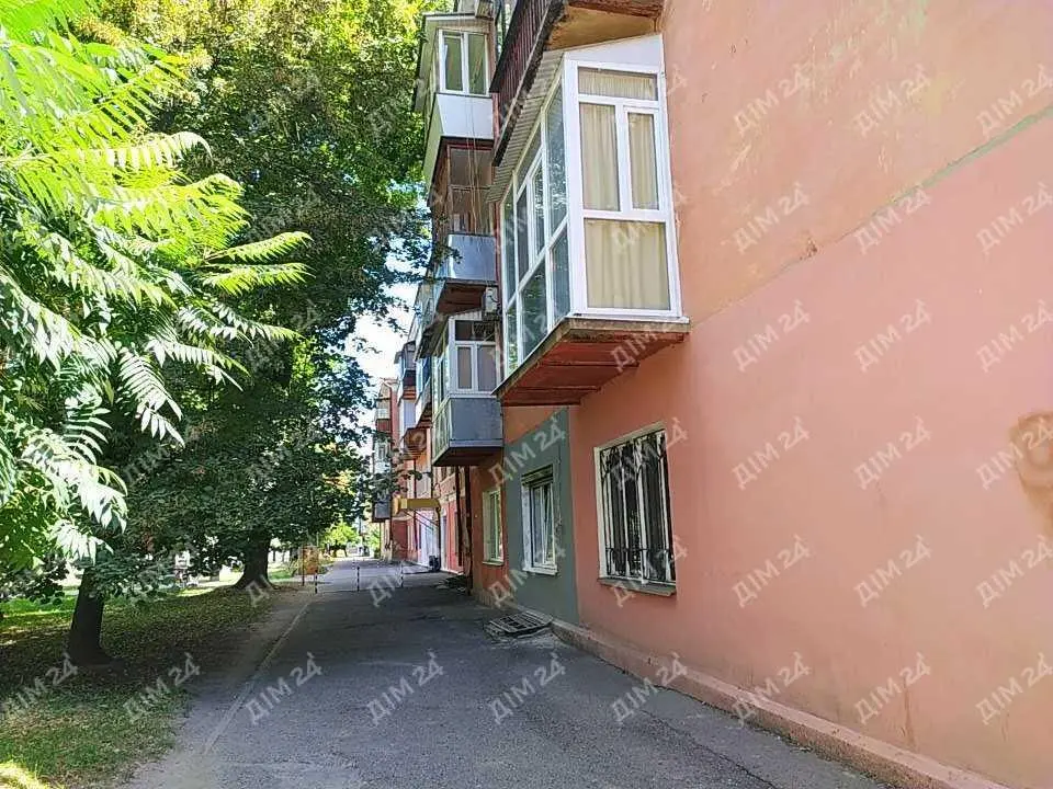 Квартира з видом на Павленківський парк (Зигіна)