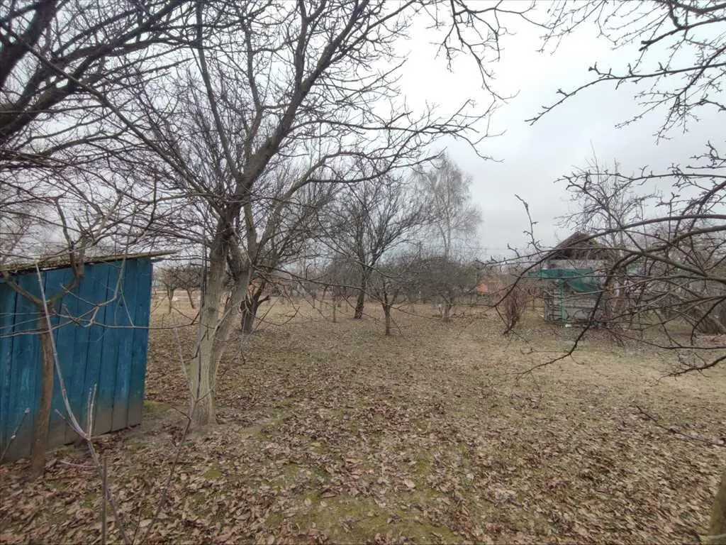 Ділянка на березі водойми, Терешки! 