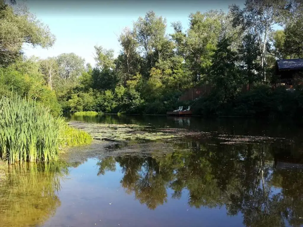 Ділянка поруч з річкою у Петрівці! 