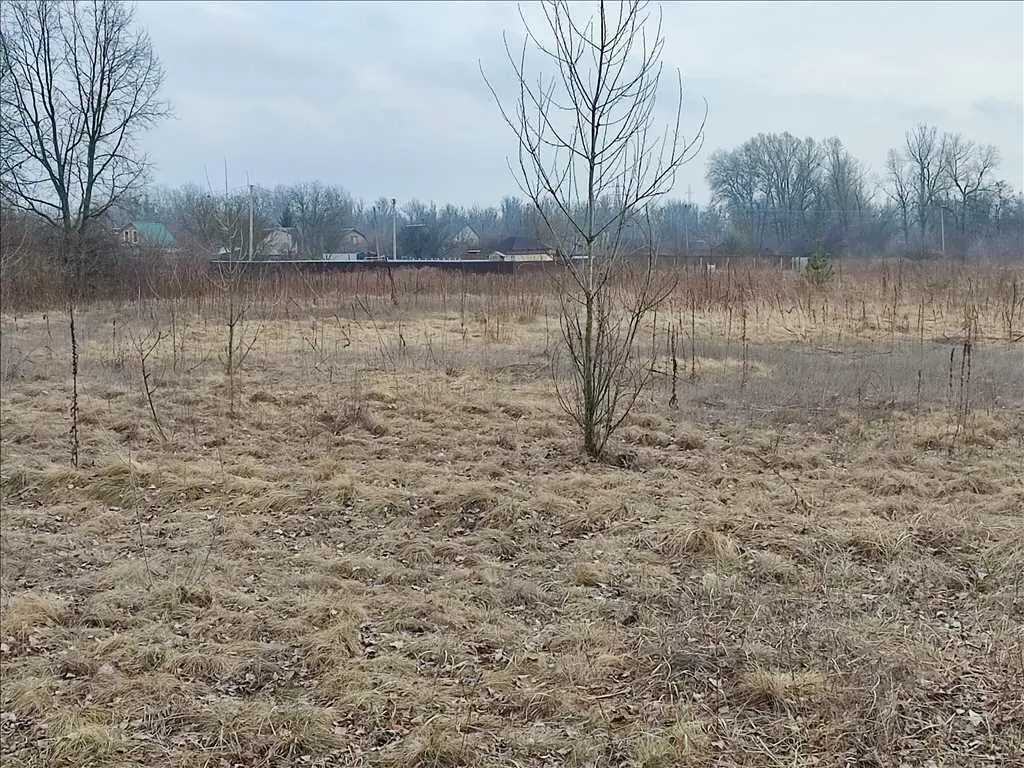 Гарна ділянка по бюджетній ціні!