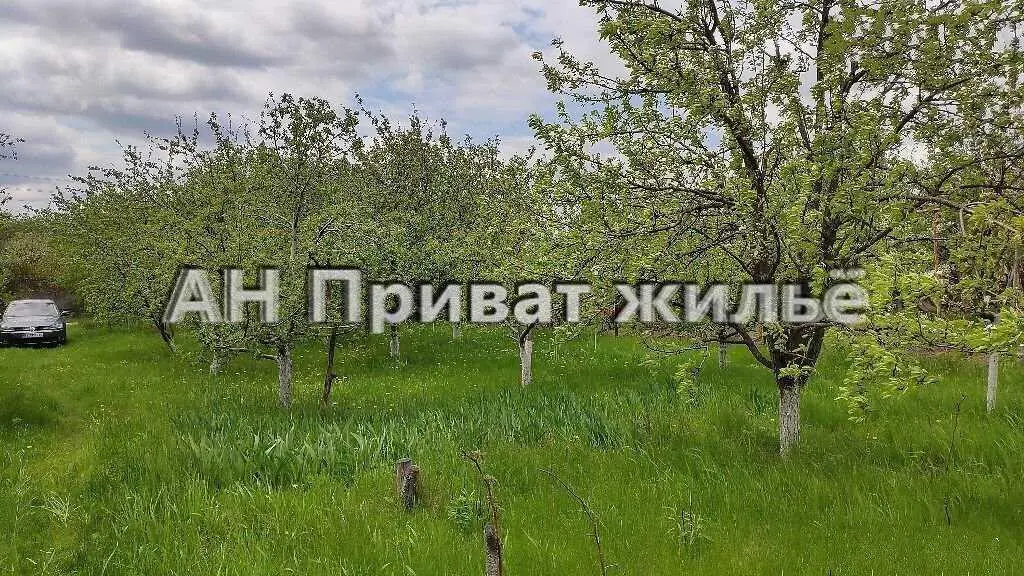 Купуйте землю, це найкраще інвестування. 