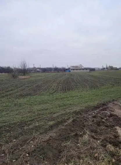 У продажу земельна ділянка в Ковалівці