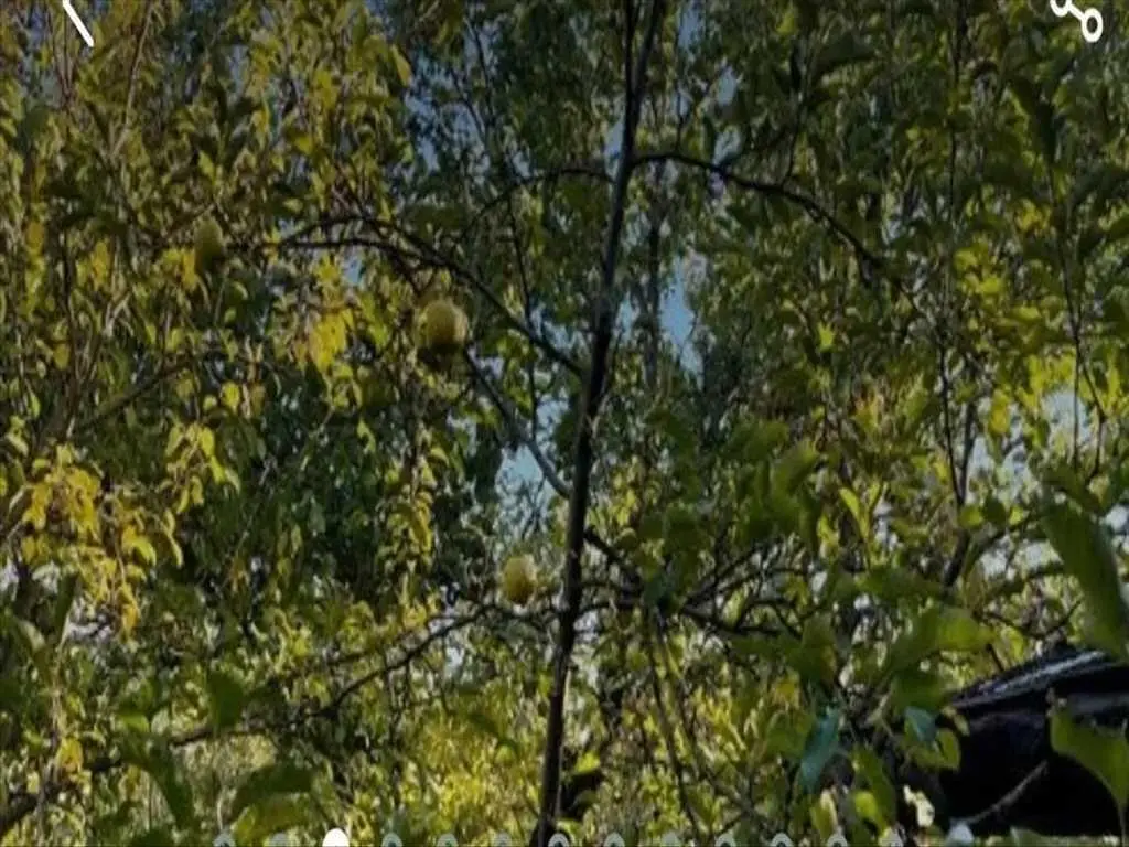 Ділянка в Вакуленцях!