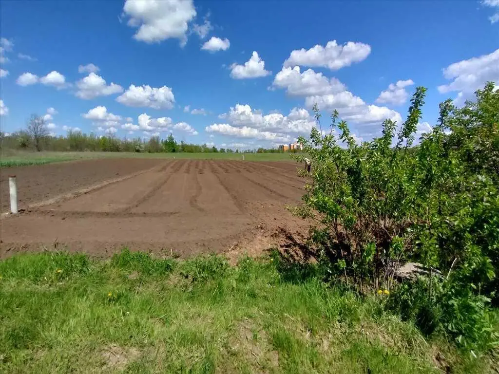 У продажу земельна ділянка в с. Розсошенці