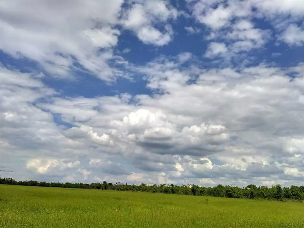У продажу земельна ділянка в с. Розсошенці