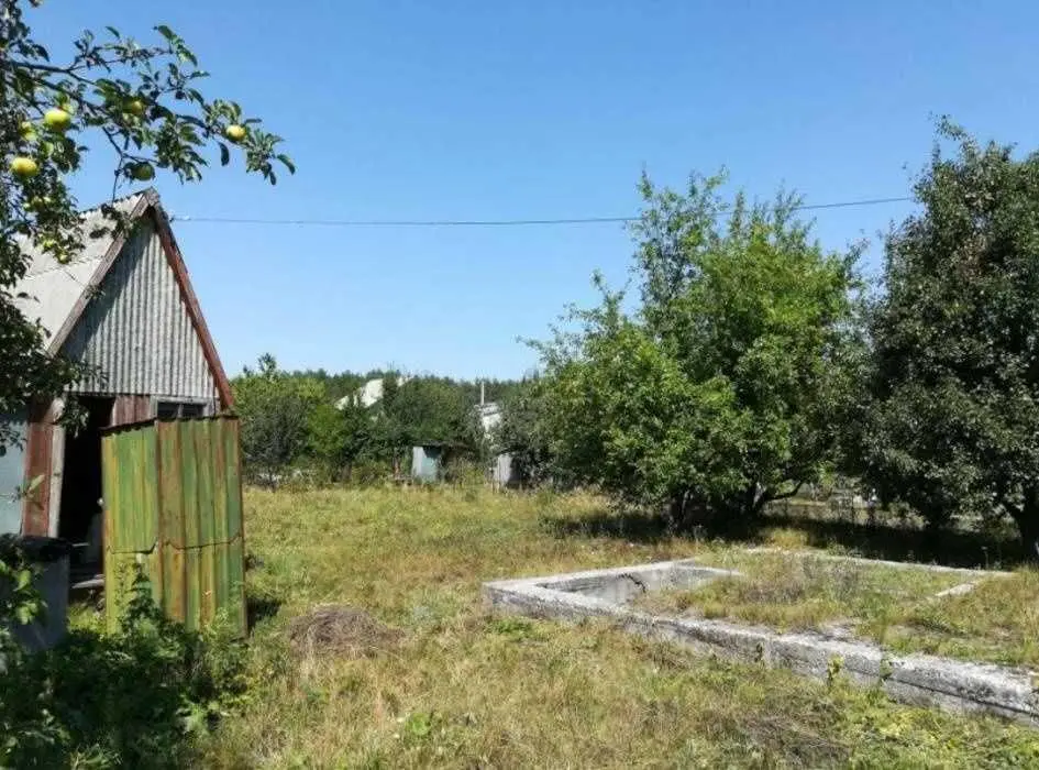 Терешки. Ділянка під садівництво. 