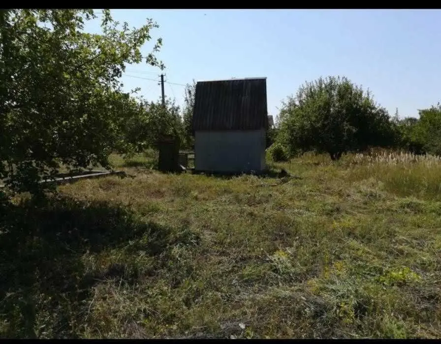 Терешки. Ділянка під садівництво. 