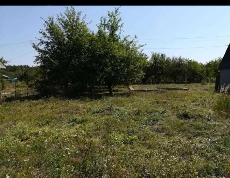 Терешки. Ділянка під садівництво. 