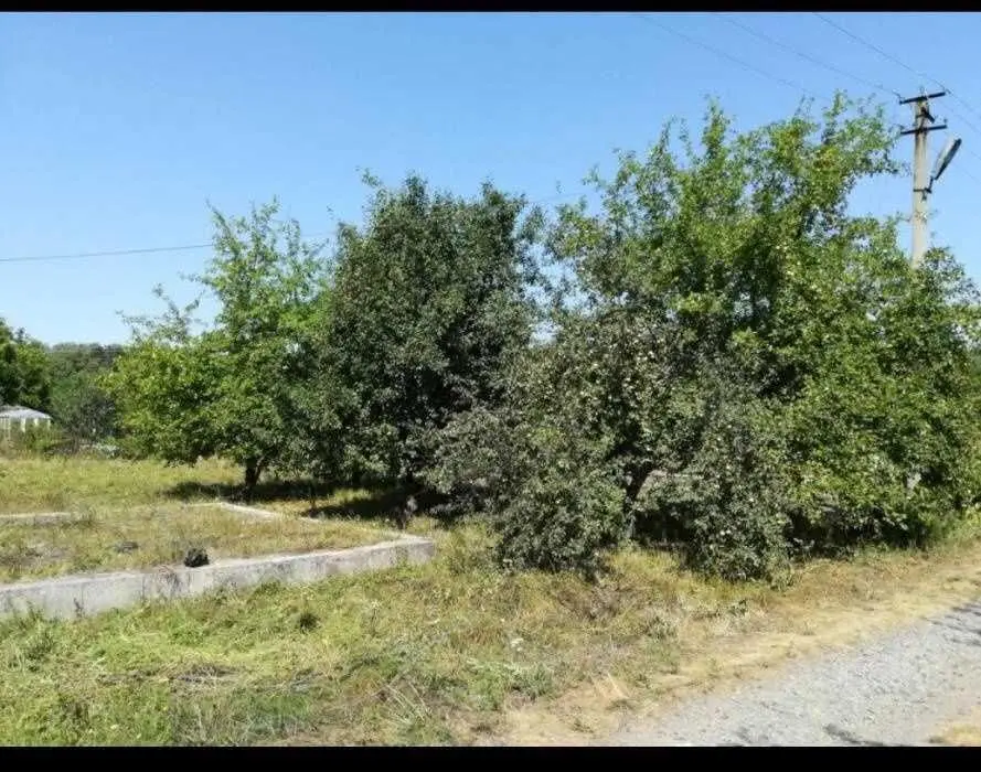 Терешки. Ділянка під садівництво. 