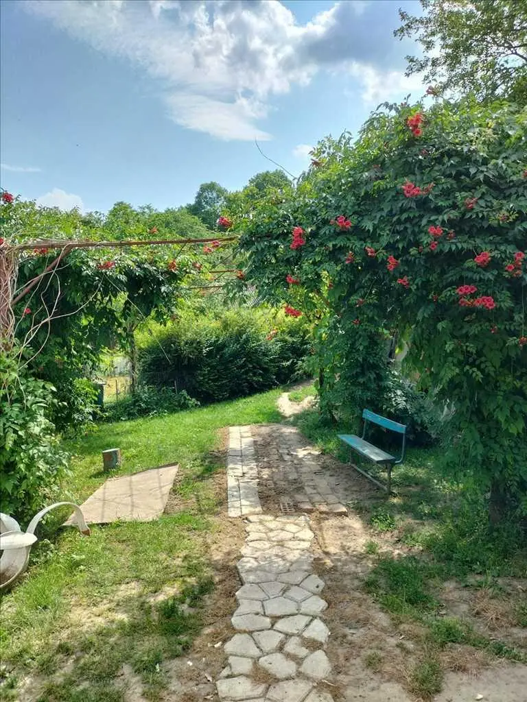 У продажу будинок в с.Патлаївка