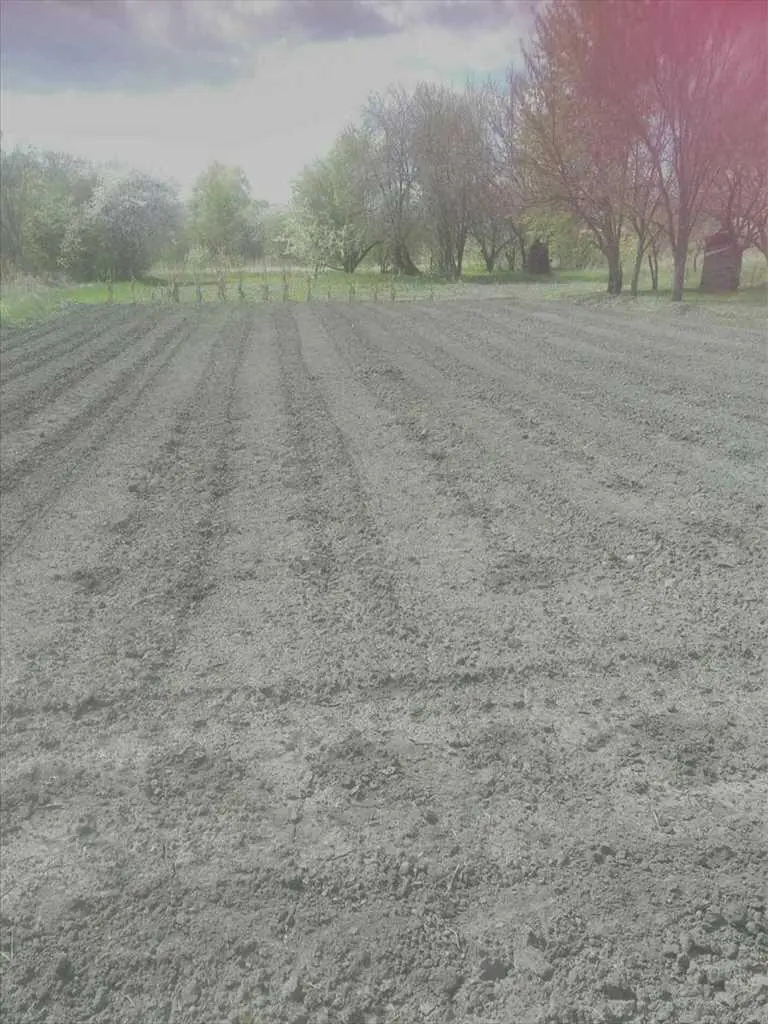 Дачна ділянка в с.Надержинщина