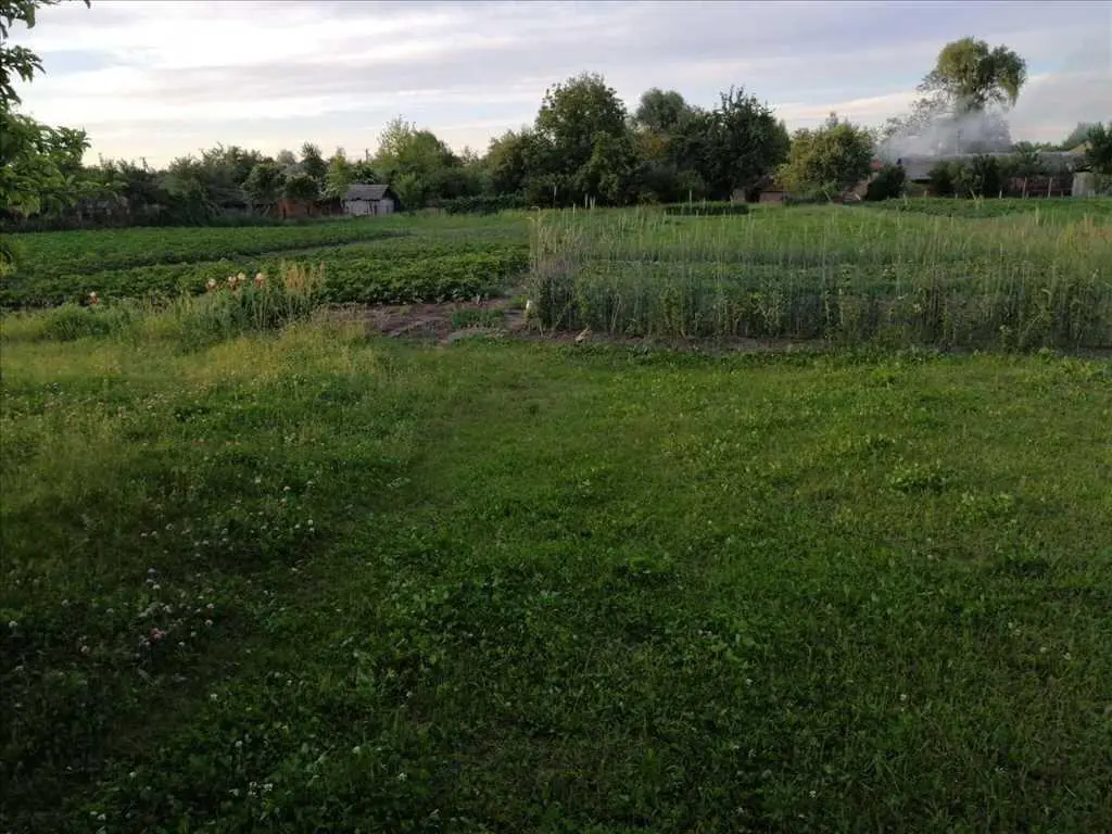 Гарне, мальовниче місце за межами міста.