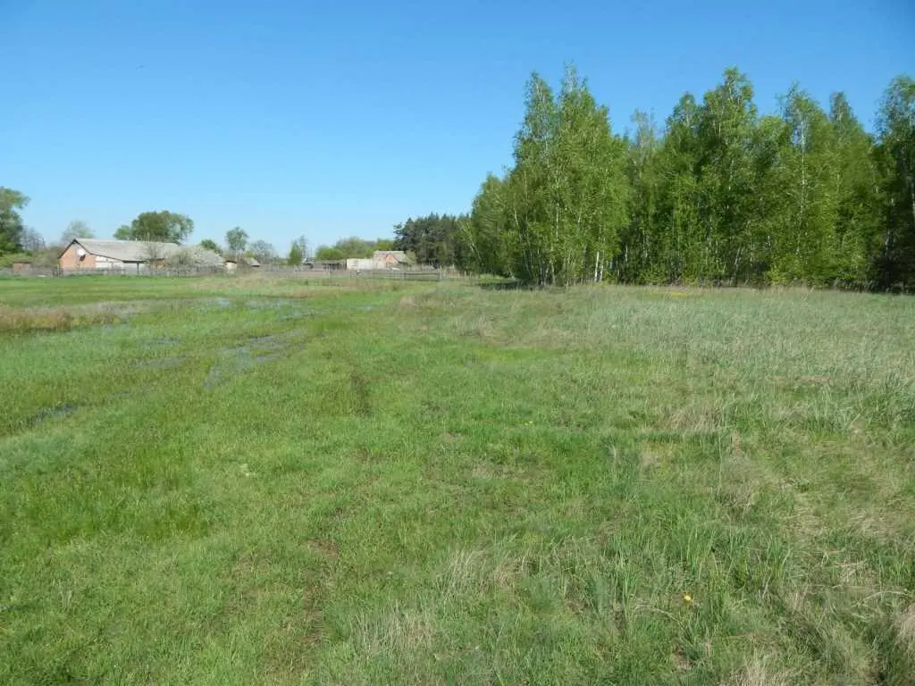  Пропонуємо земельну ділянку 10 с під житлову забудову в с.  Головач.